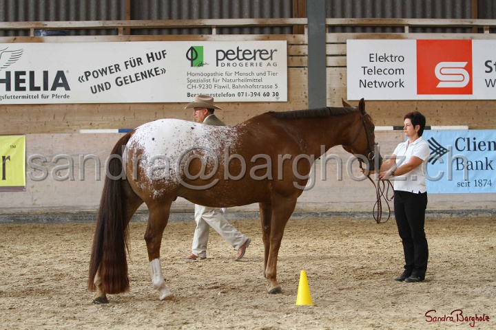 24-ApHC HIH_059.jpg